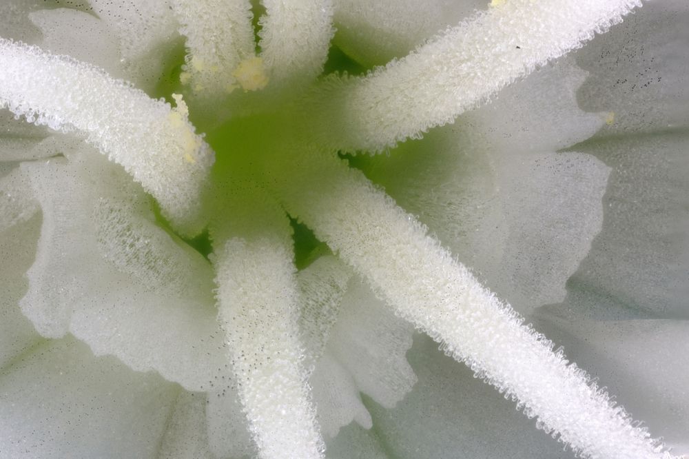 Photograph by Андрей Кротов