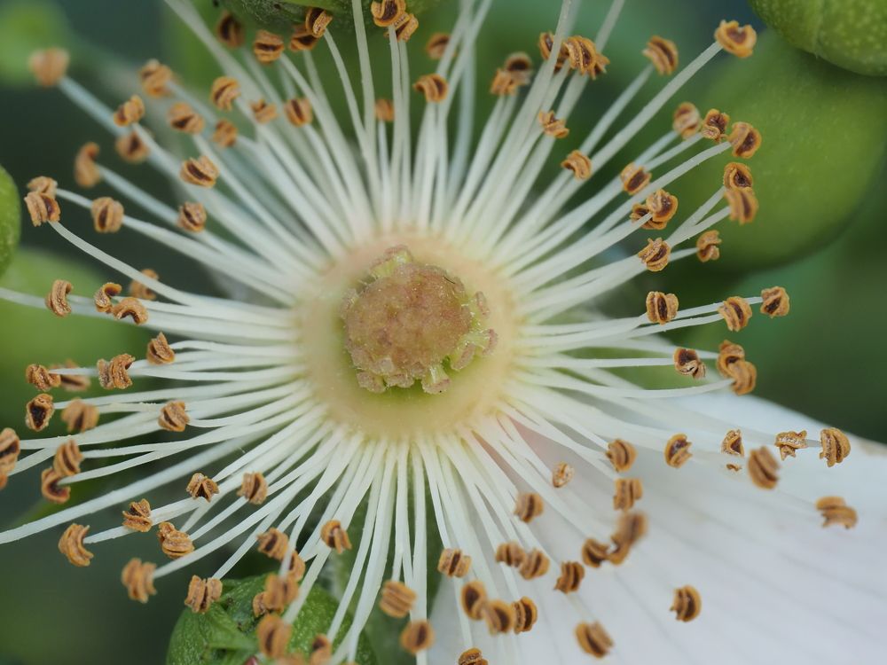 Photograph by Сергей Борисов