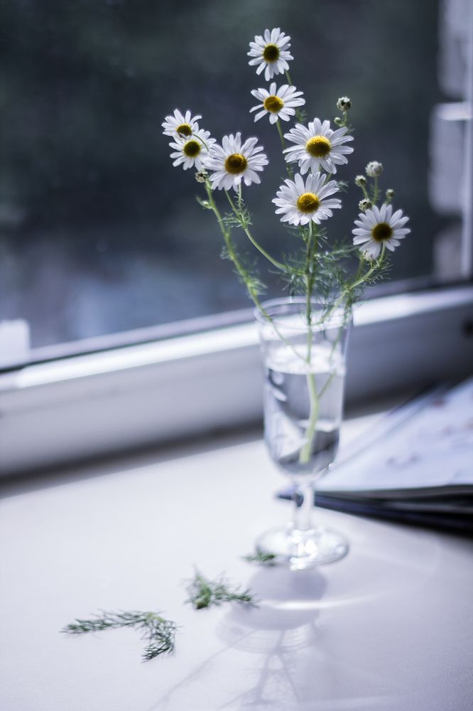 Photograph by Елена Глухарева