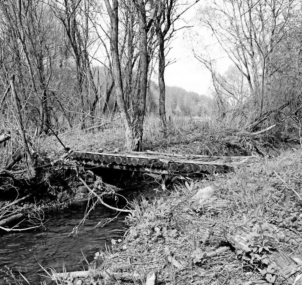 Photograph by Александр Бугаенко