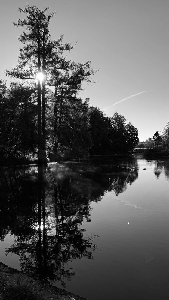 Photograph by Алексей Скорик