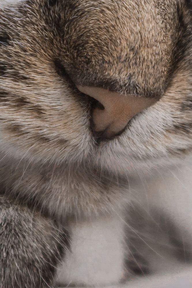 Photograph by Елена Глухарева