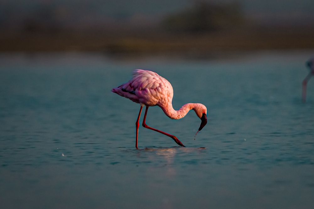 Photograph by Nirwan Malviya