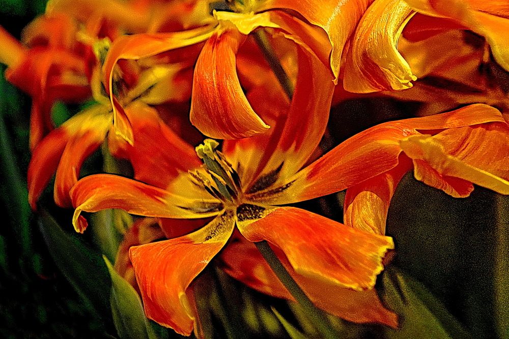 Photograph by Вадим Гераскин