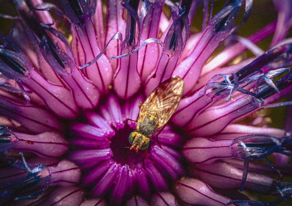 Photograph by Игорь Толкачев