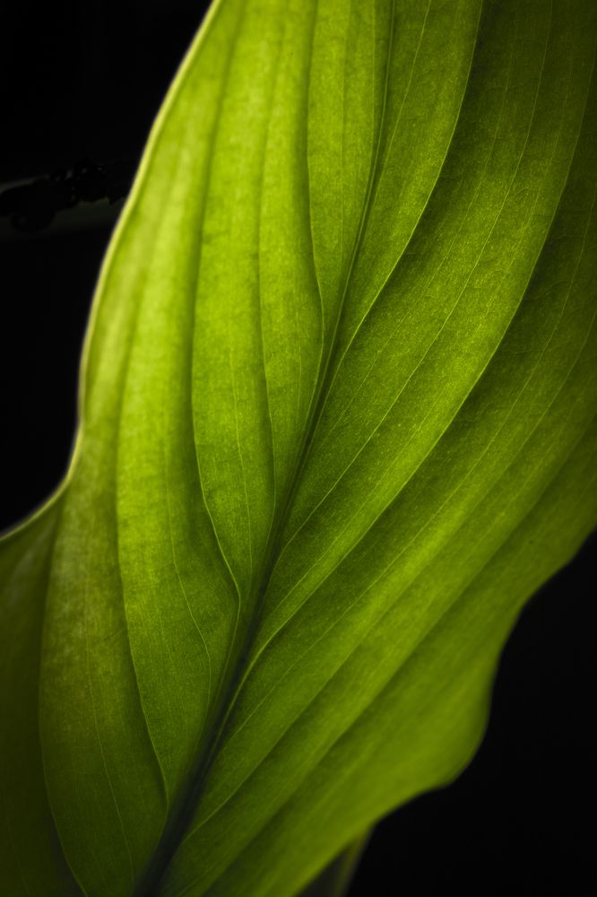 Photograph by Игорь Толкачев