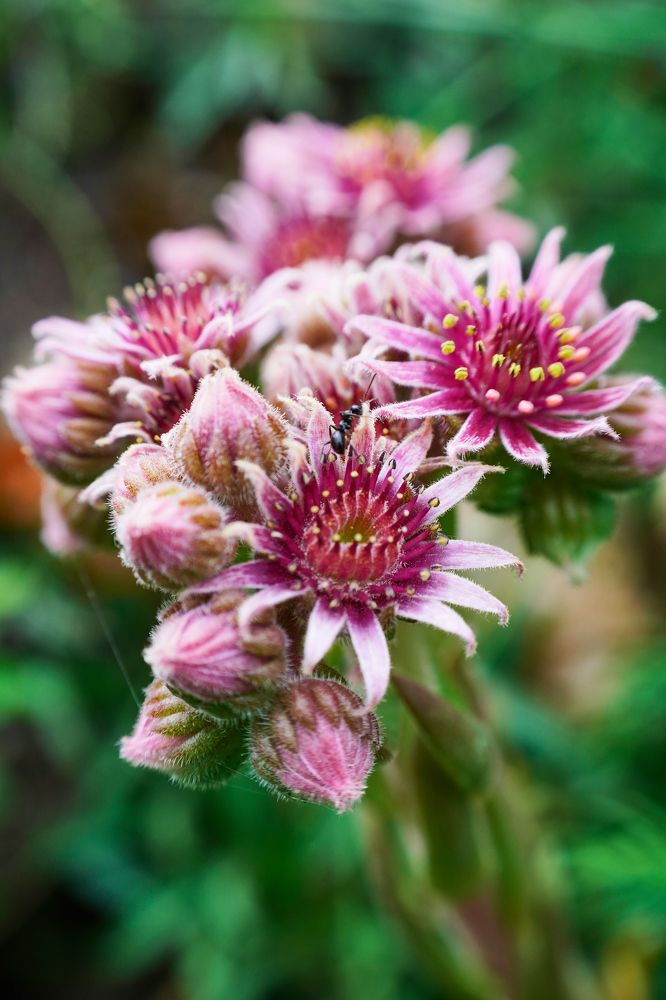 Фотография автора Иннокентий Рябчиков