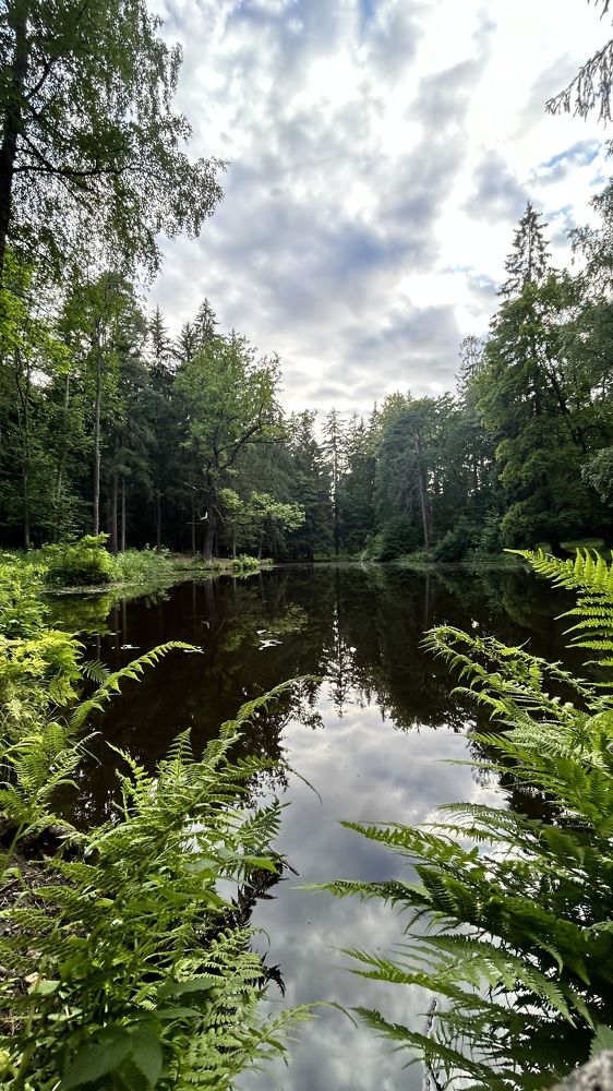 Photograph by Алексей Скорик