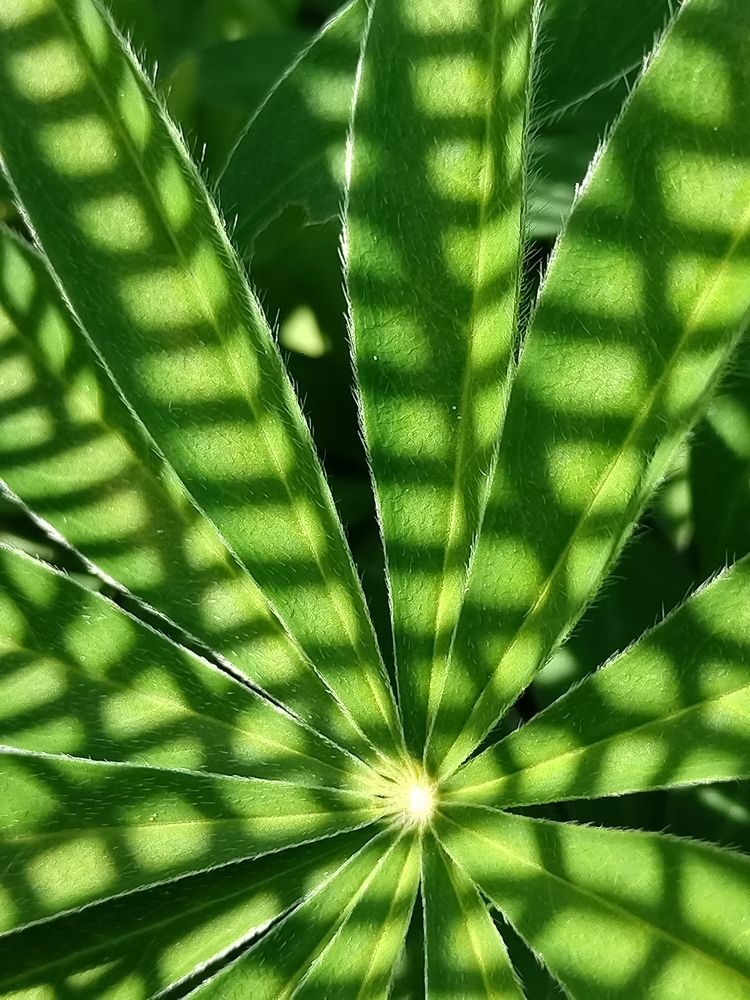 Photograph by Татьяна