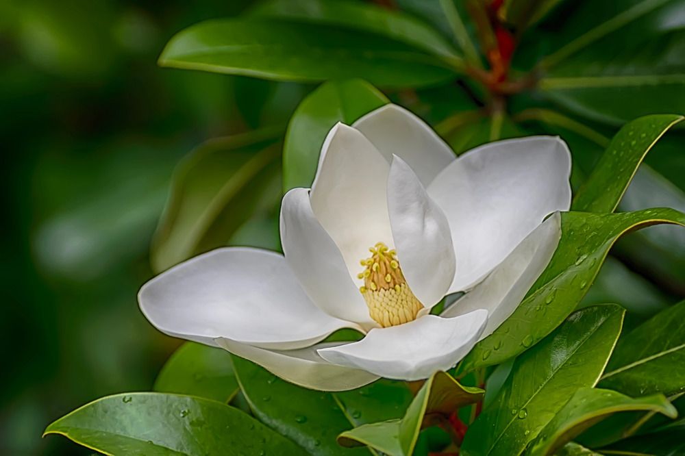 Photograph by Александр Вольхин