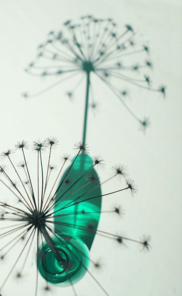 Photograph by Анастасия Скворцова