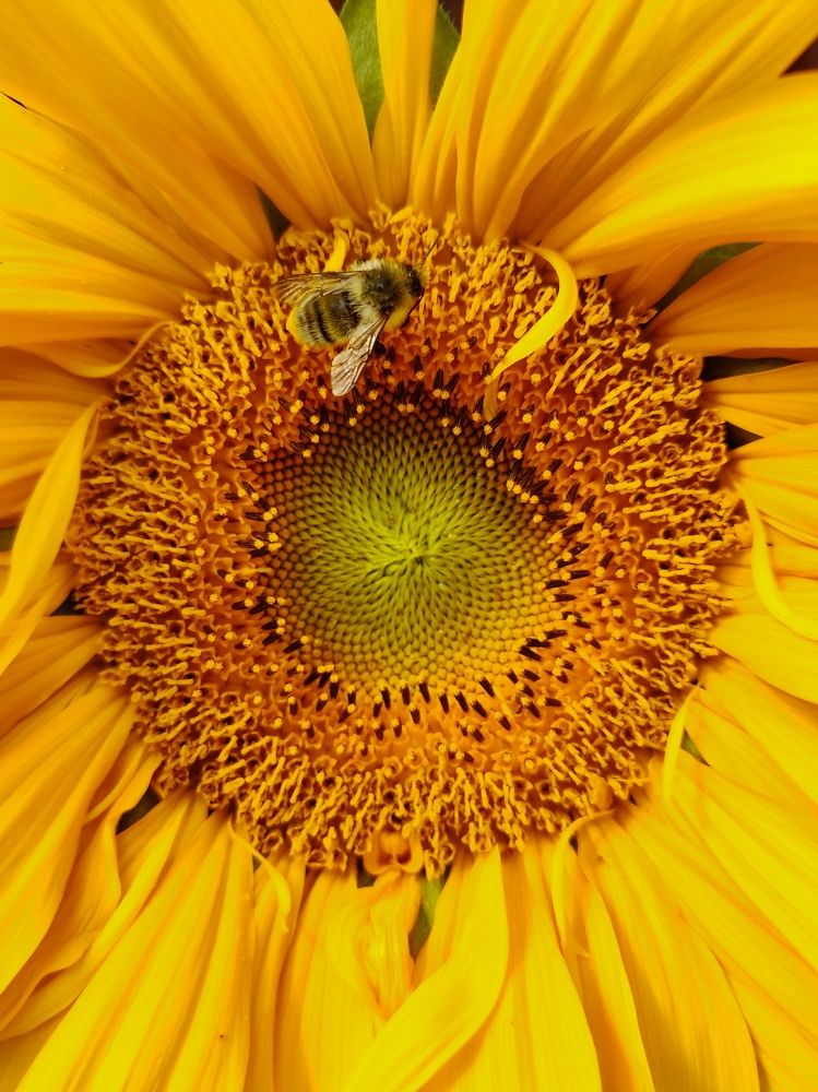 Фотография автора Екатерина