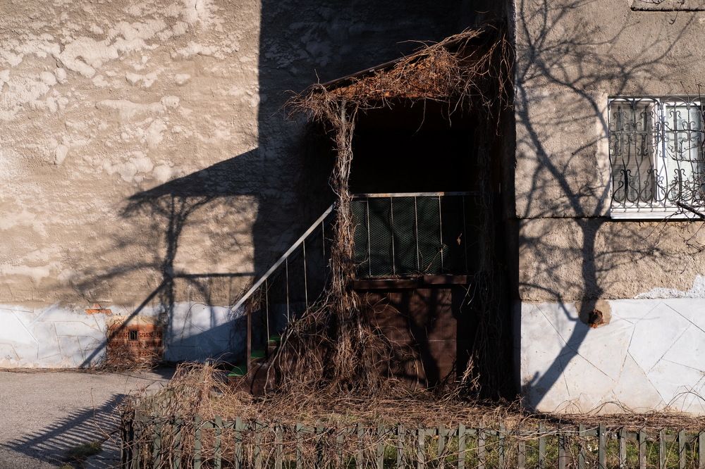 Photograph by Алексей Пирязев