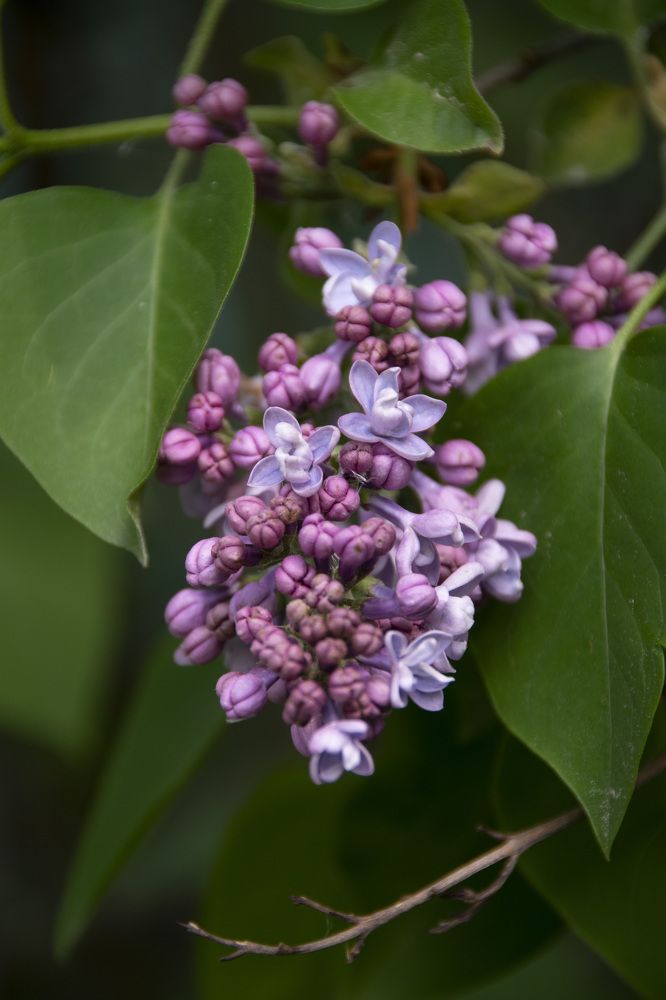 Photograph by Дария Ризниченко