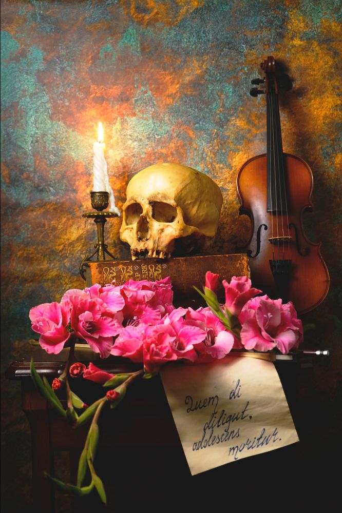 Photograph by Раиса Хоменко