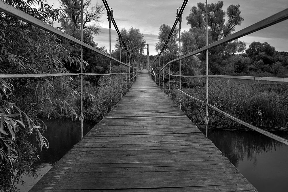 Photograph by Александр Шипиленко