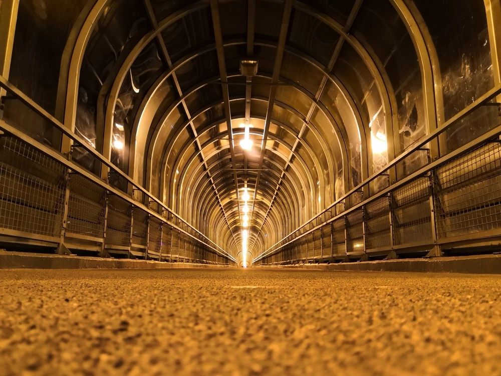 Photograph by Александр Алексеев