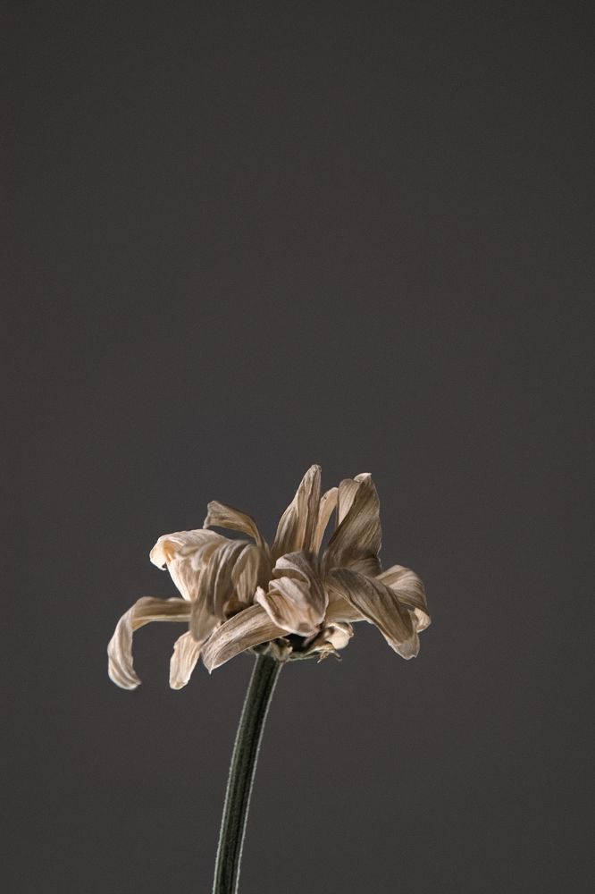 Photograph by Никита Павлов