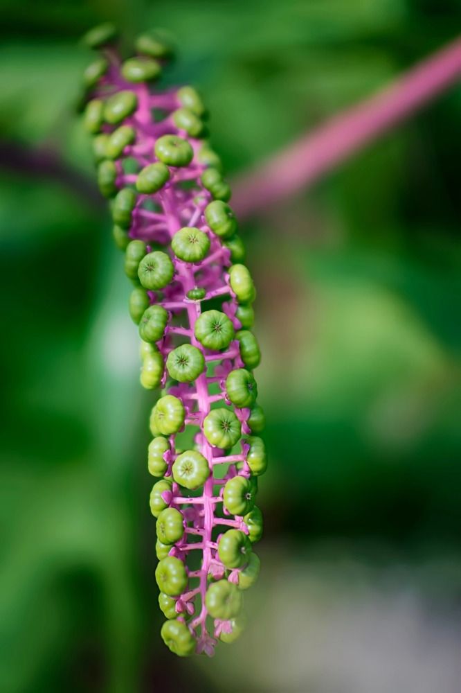 Photograph by Александр Вольхин