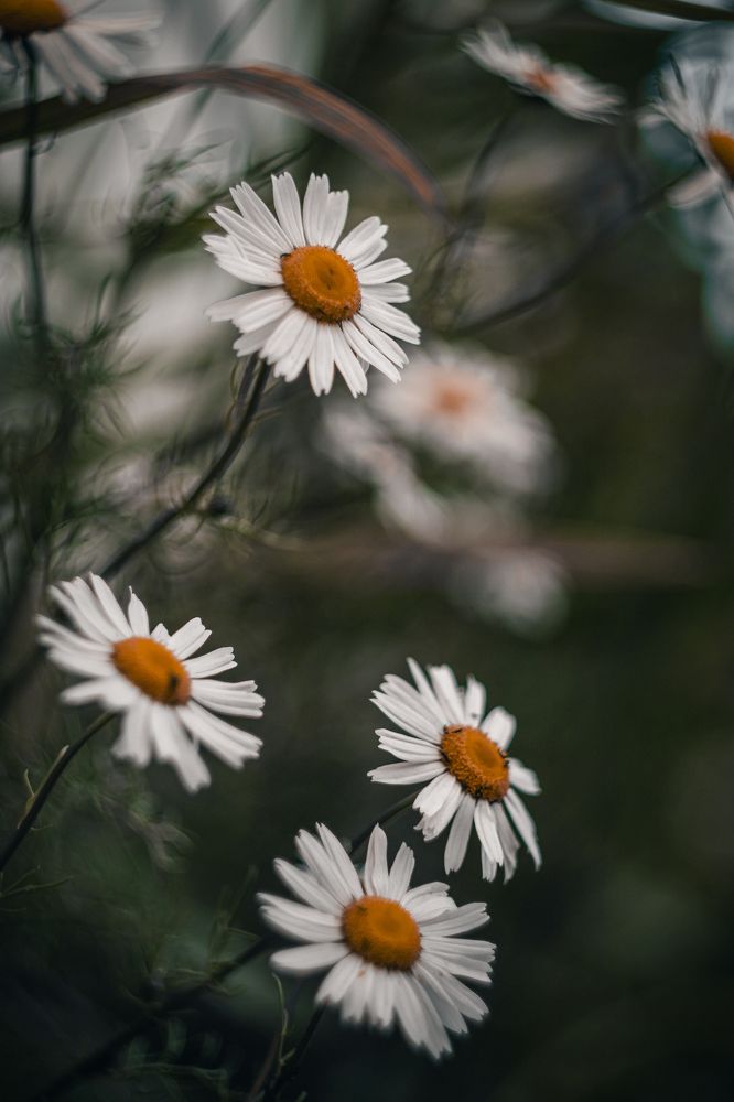 Photograph by Никита Павлов