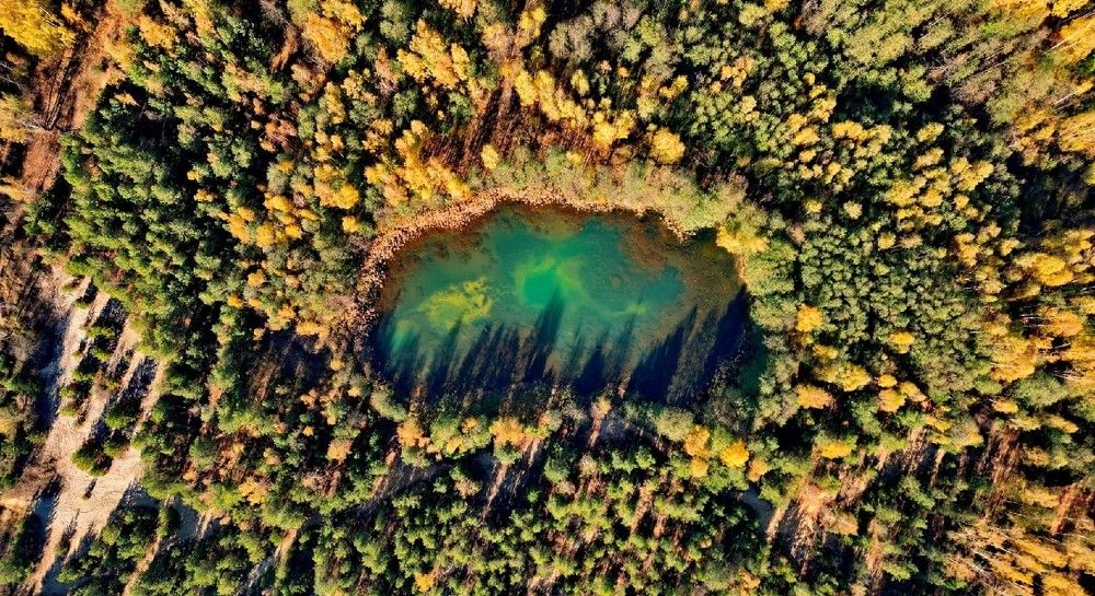 Фотография автора Илья Китаев