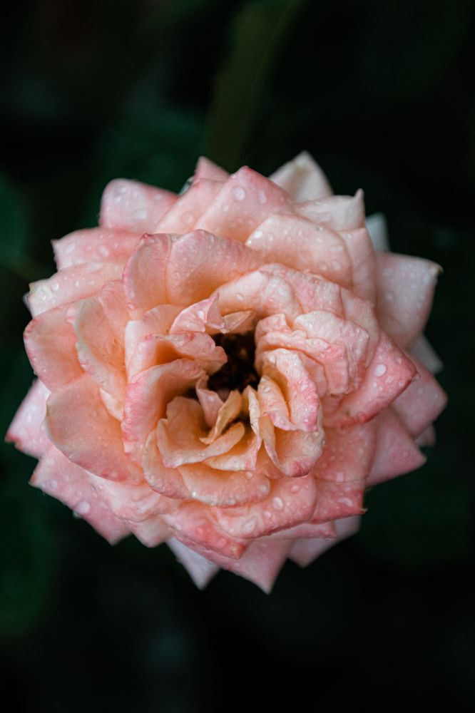 Photograph by Никита Павлов