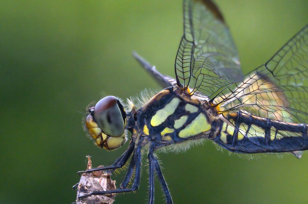 Photograph by Евгений Сорокин