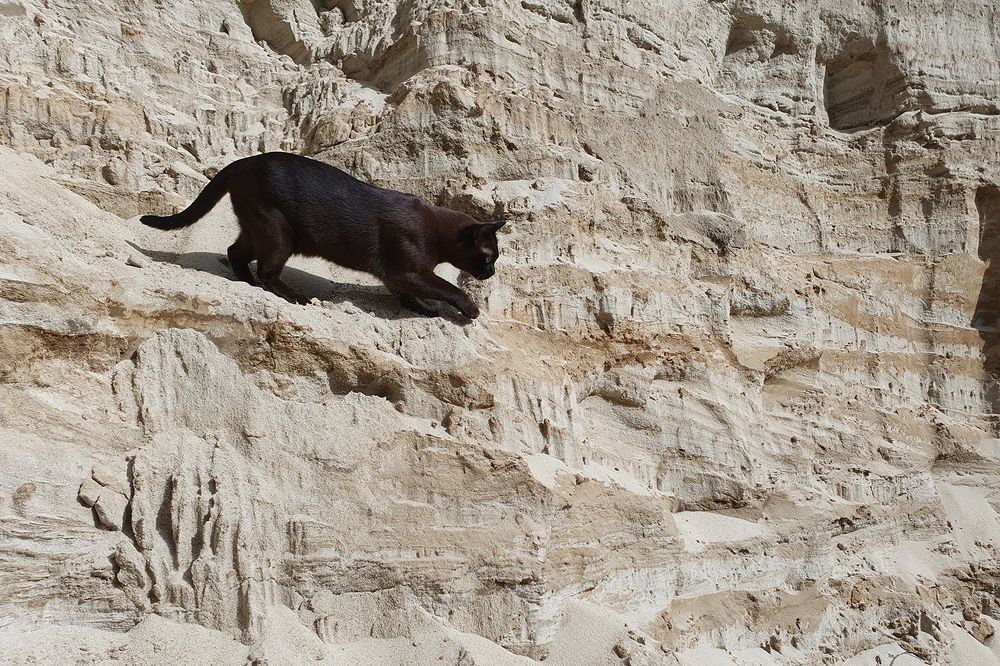 Фотография автора Надежда Лисицына
