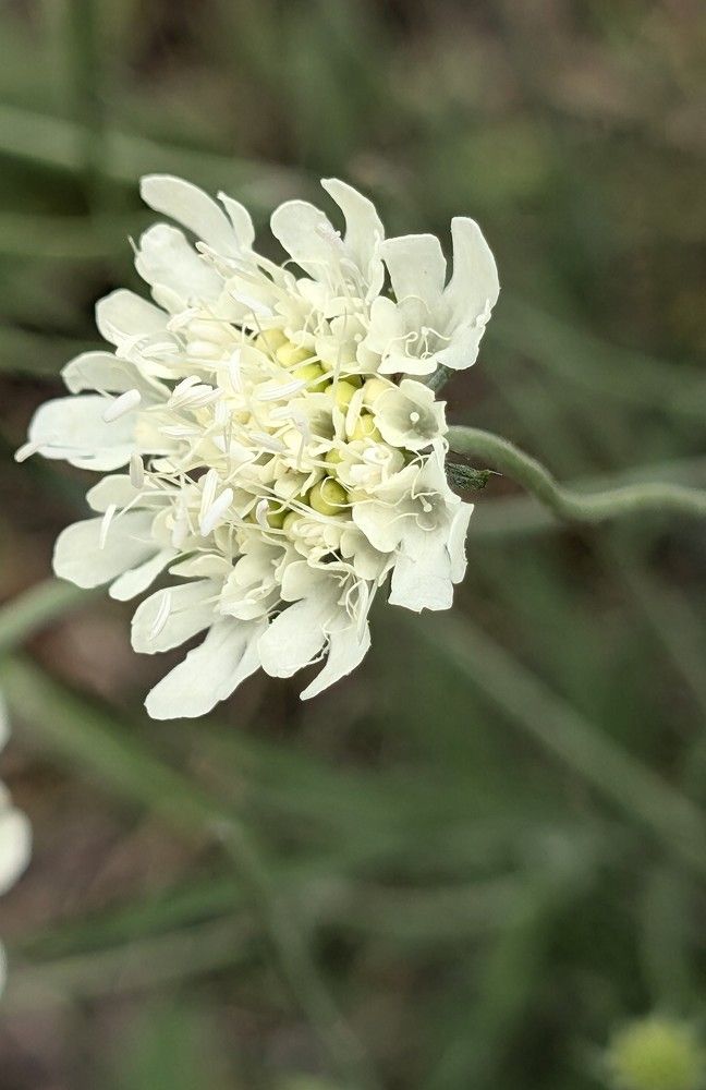 Photograph by Наталья Шалкевич