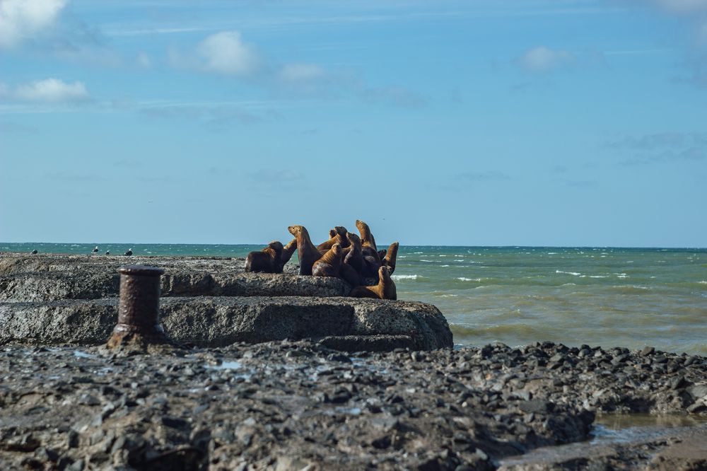Photograph by Данил Варапаев