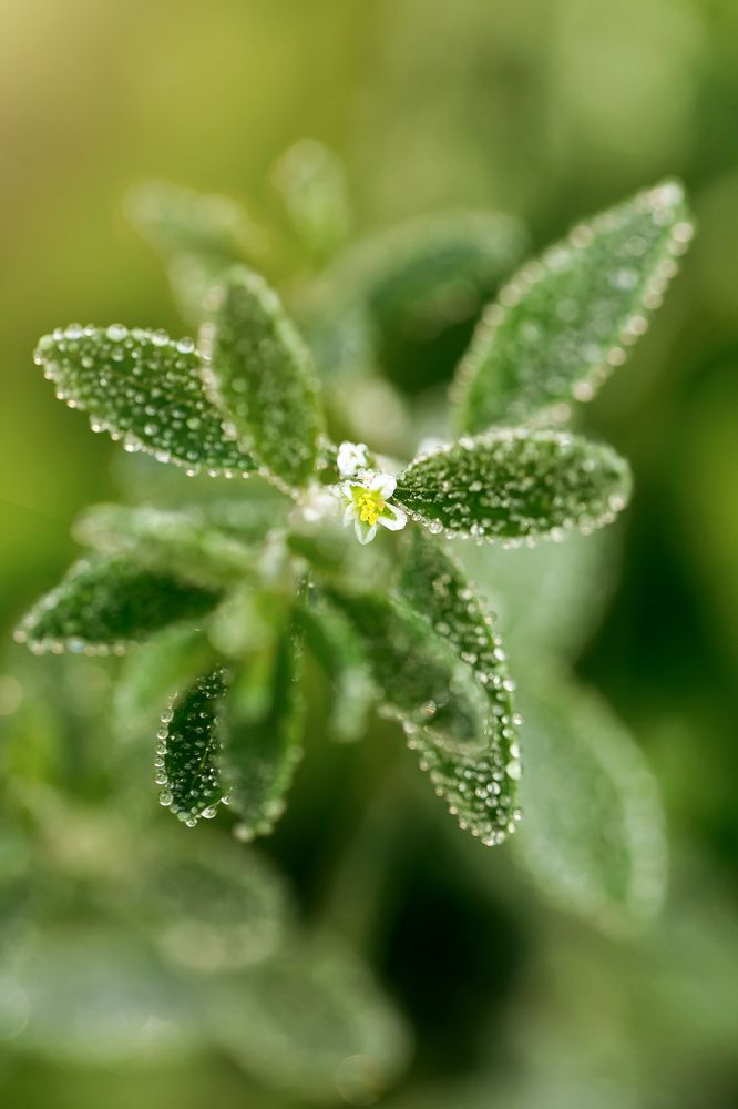 Photograph by Наталья Матюхина