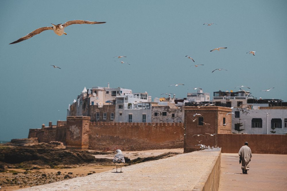 Photograph by Anastasia Lagosha