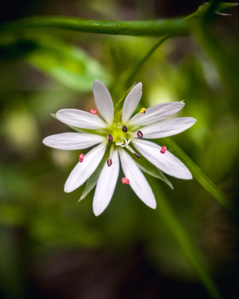 Photograph by Николай Головко