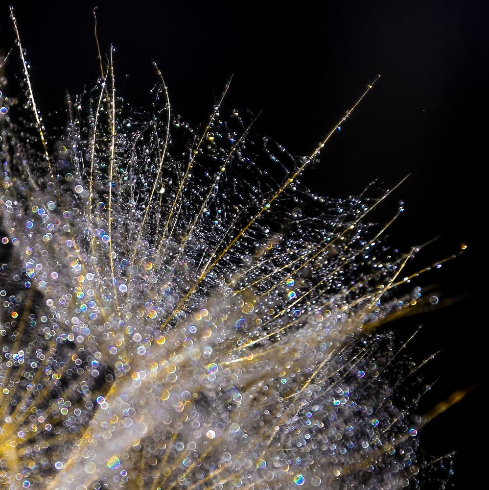 Фотография автора Альбина Хвастунова