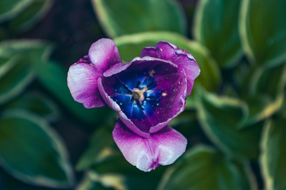 Photograph by Анастасия Блохина