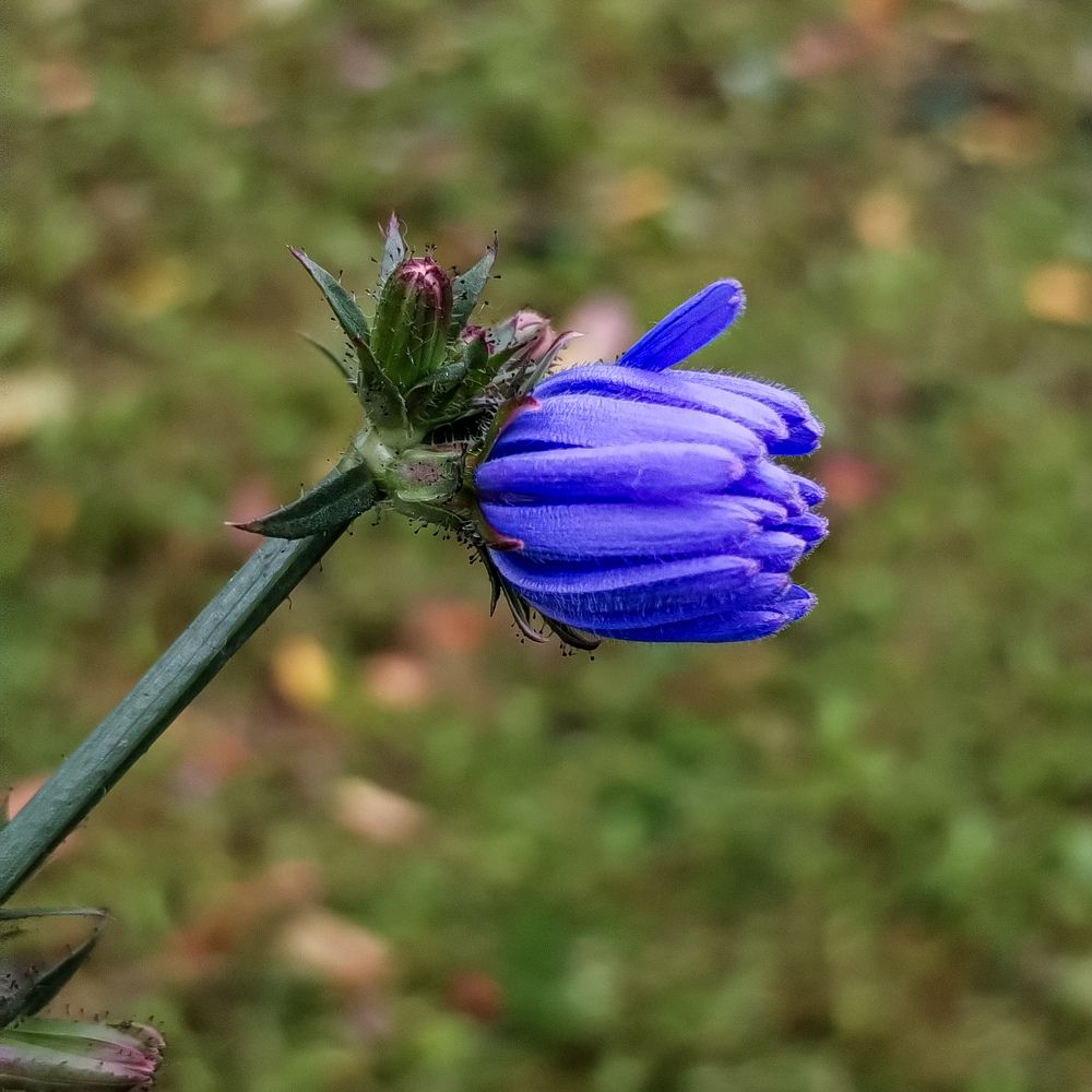 Фотография автора Альбина Хвастунова