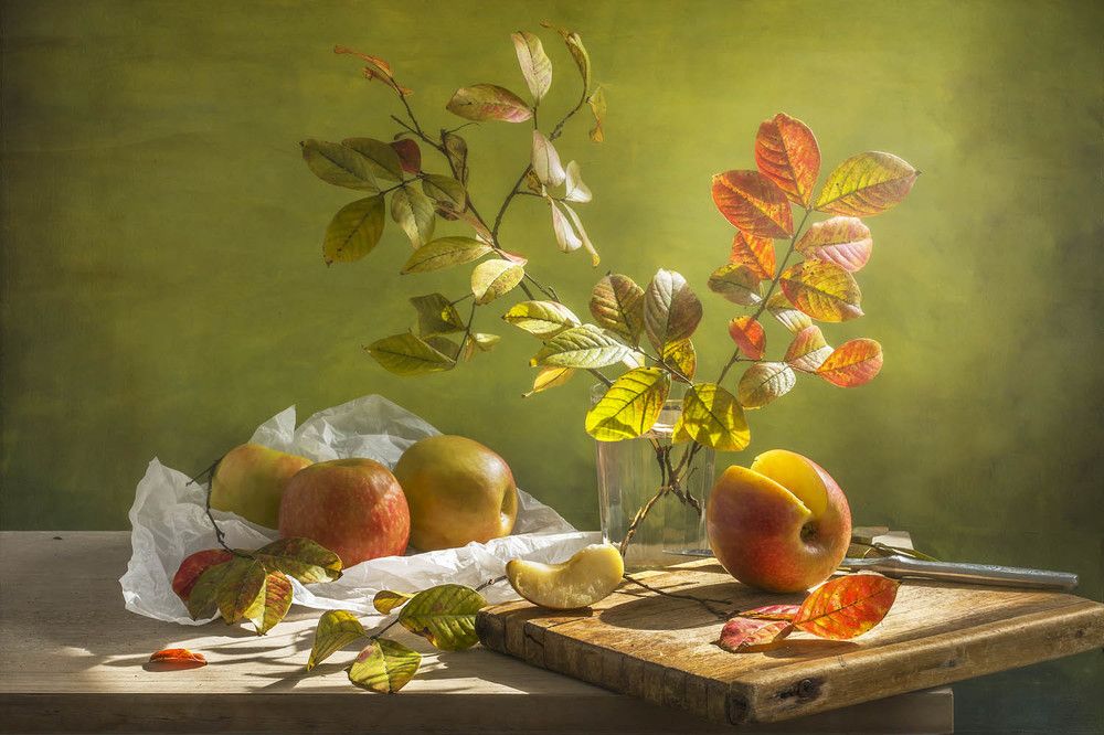 Photograph by Солодар Виктория