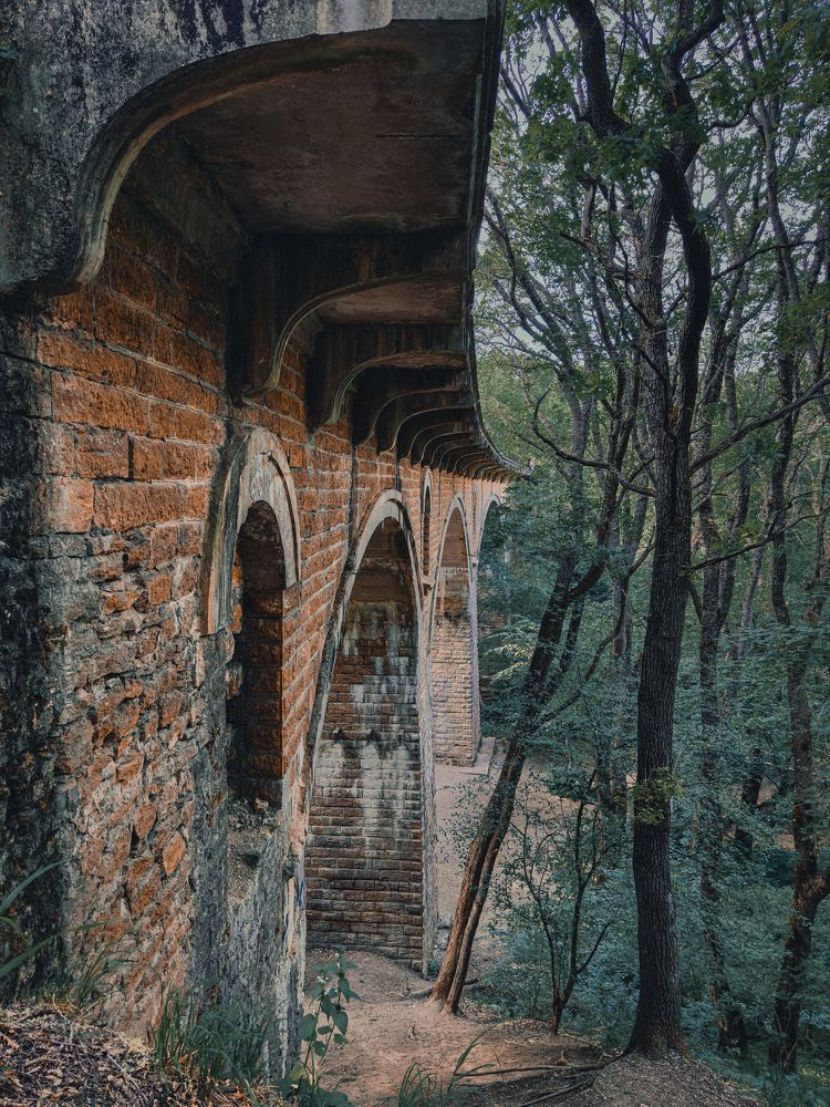 Фотография автора Олег Васильев