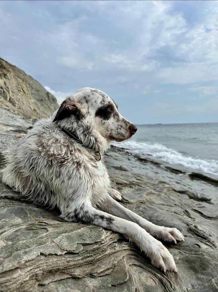 Фотография автора Елена Буглеева