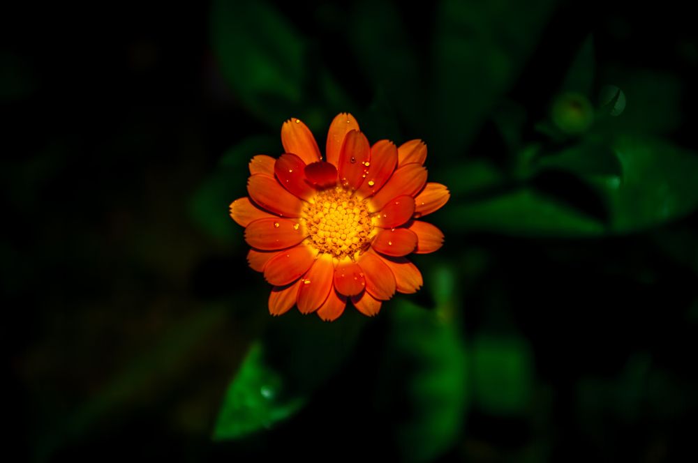 Photograph by Анастасия Блохина