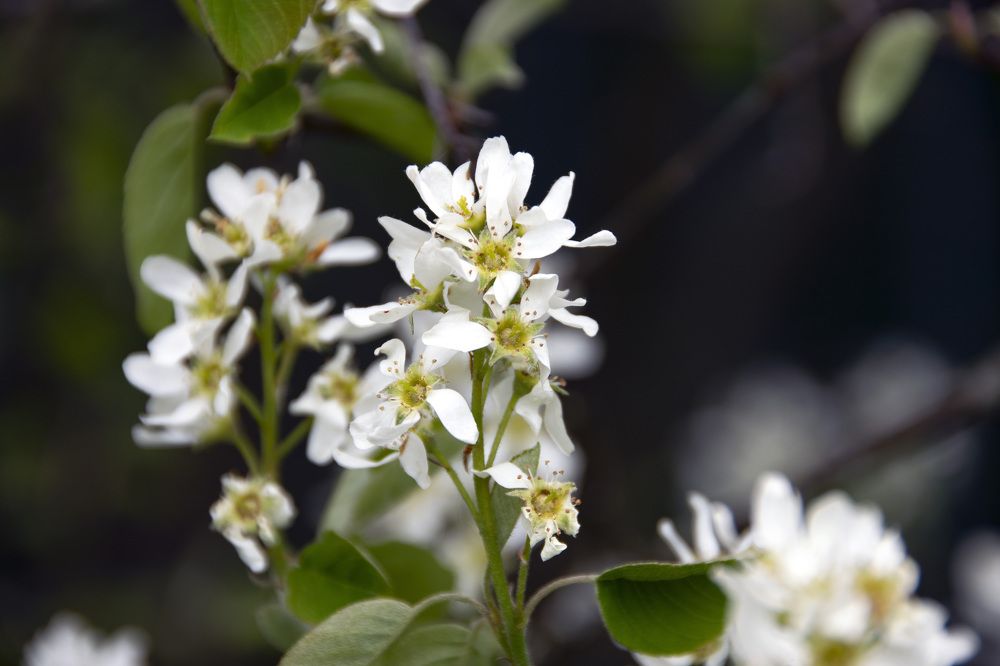Photograph by Дария Ризниченко