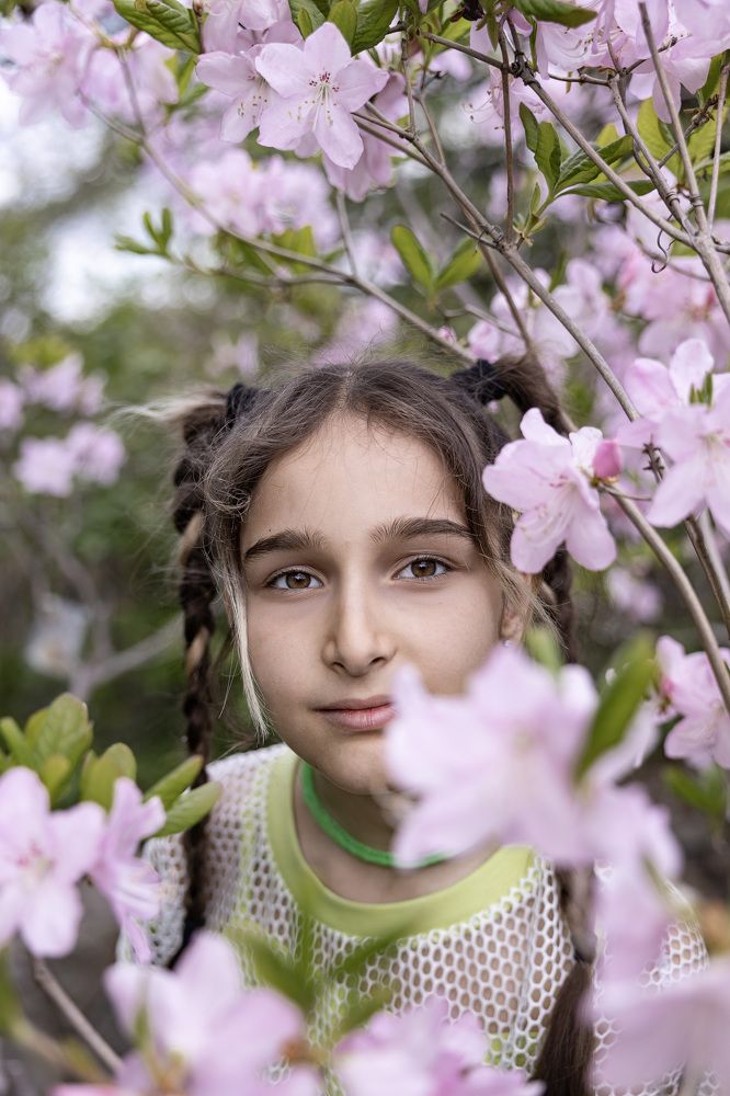 Фотография автора Denis Kotrenko