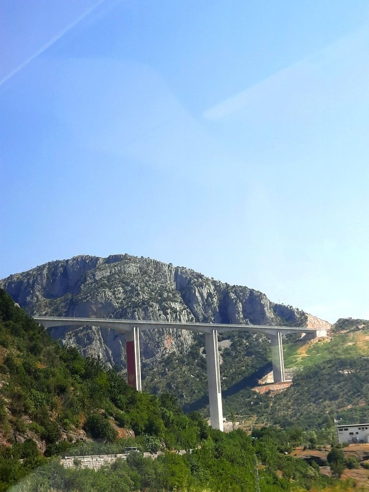 Фотография автора JELENA VASIC