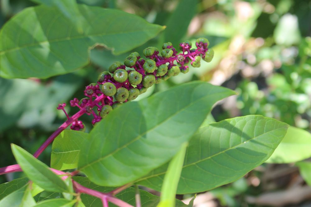 Photograph by Anastasia Kodatenko