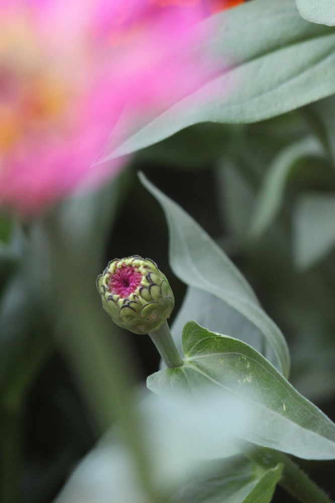 Photograph by Anastasia Kodatenko