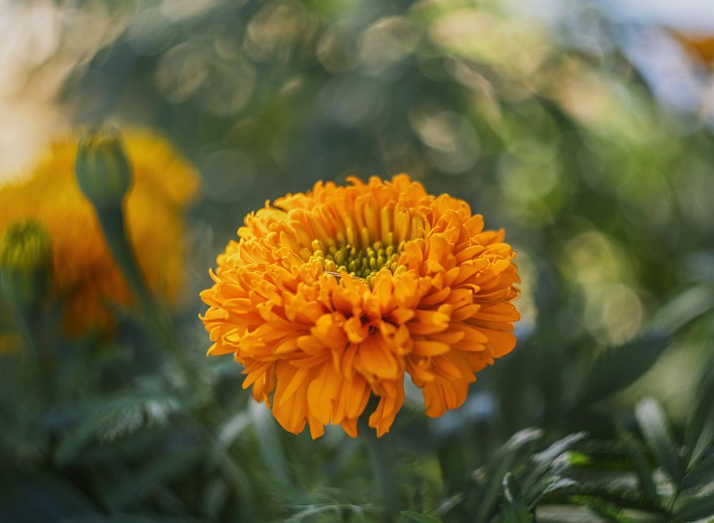 Photograph by Елена Ворошина