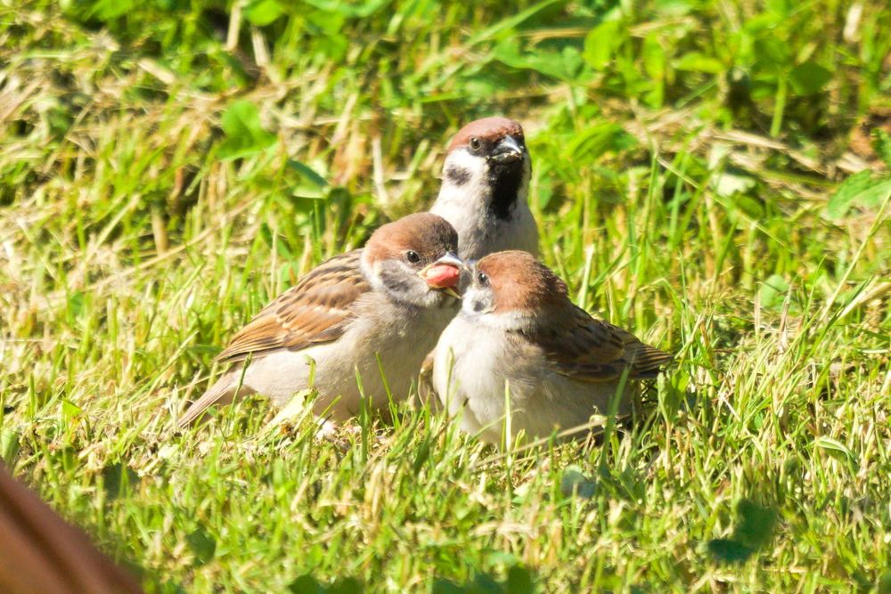 Photograph by Ольга