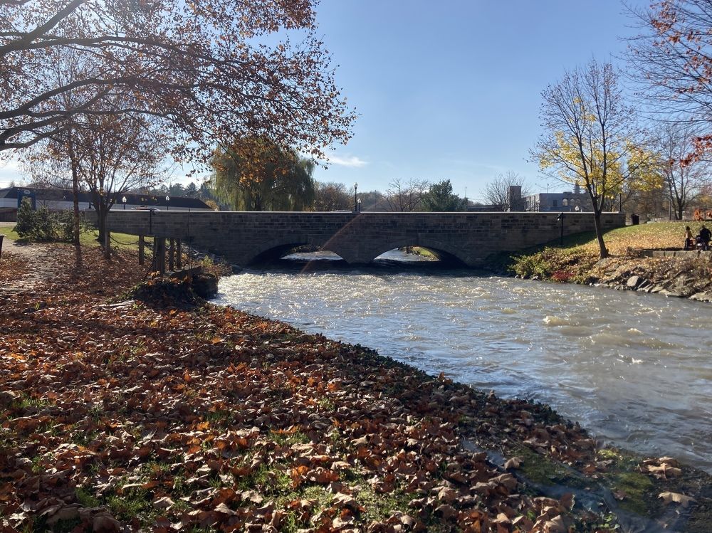 An Unexpected Surprise