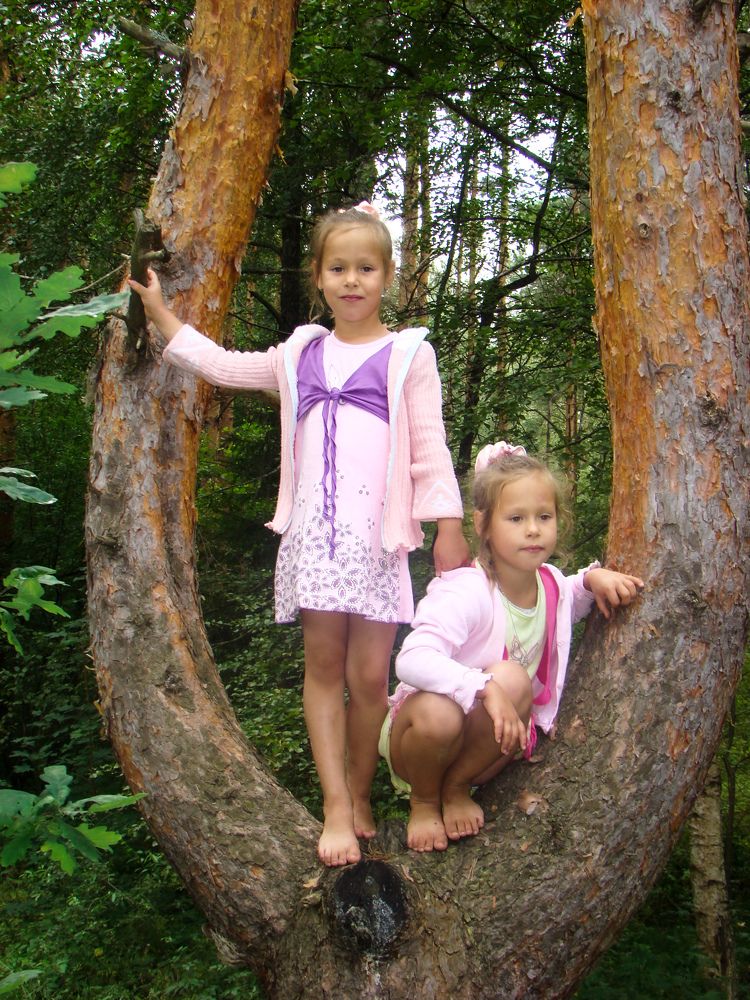 Близняшки на дереве