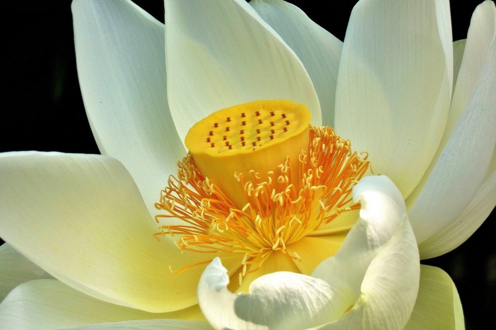 Photograph by backareva irina